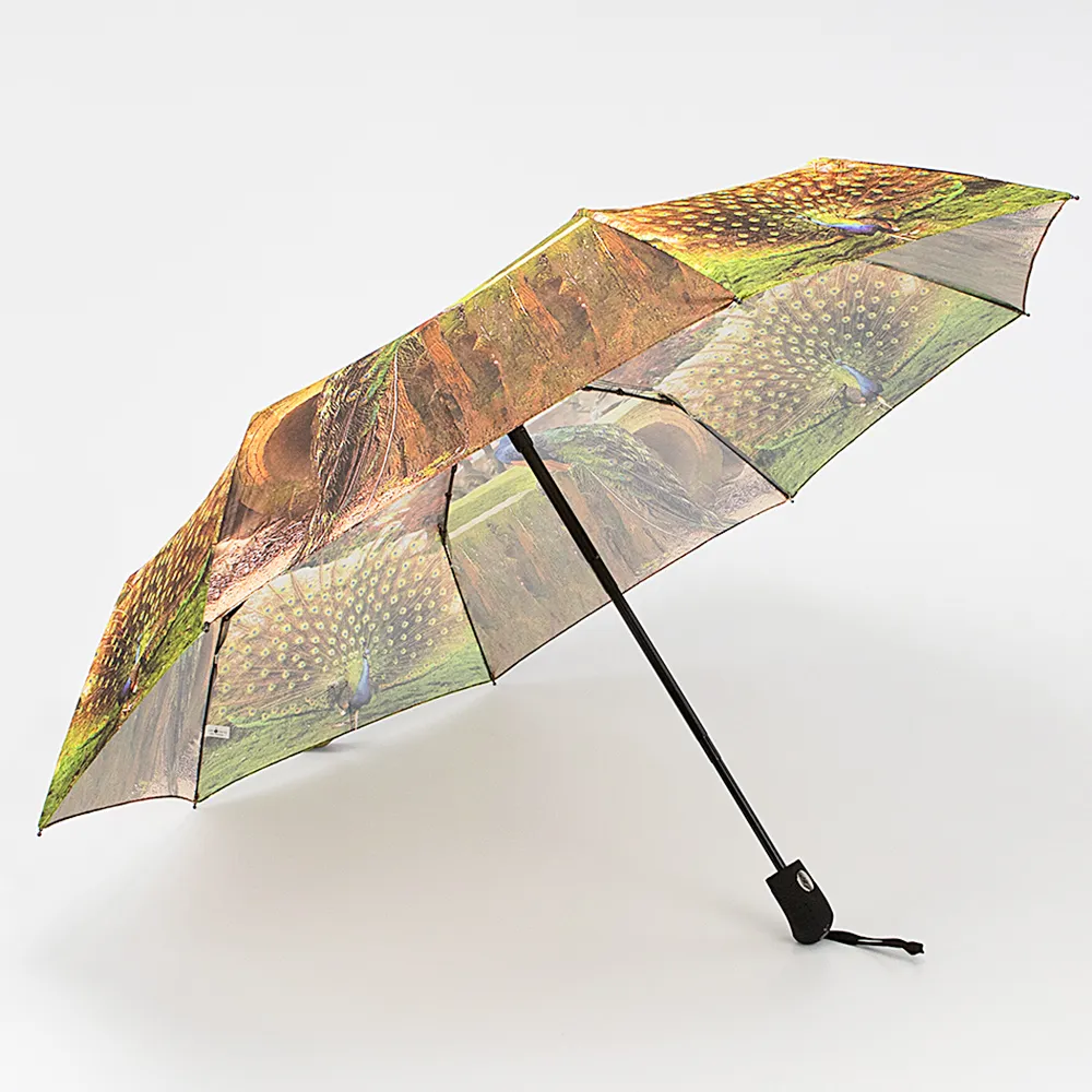 Rain Berry Зонт 739-20808