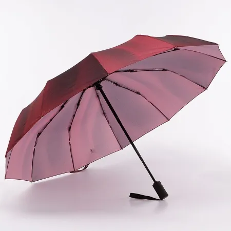Francesco Molinary Зонт (бордовый)