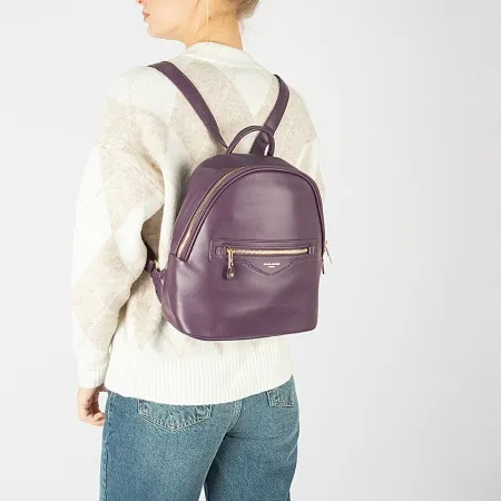 David Jones Рюкзак (фиолетовый)