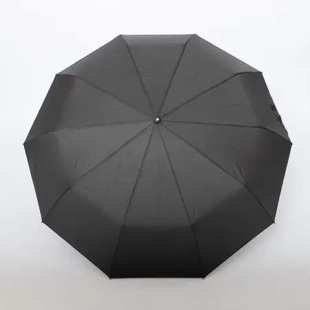 Rain Berry Зонт (черный)