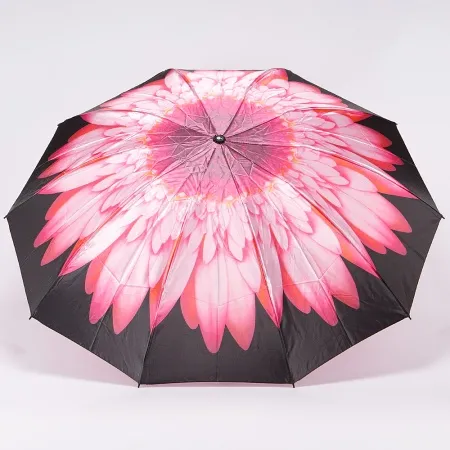 Rain Berry Зонт (мультиколор)