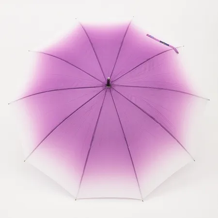 Rain Berry Зонт-трость (мультиколор)