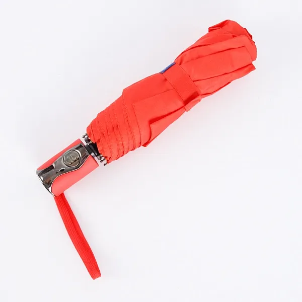 Rain Berry Зонт 734-1307