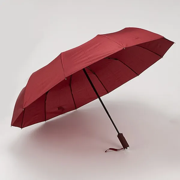 Rain Berry Зонт 734-31203