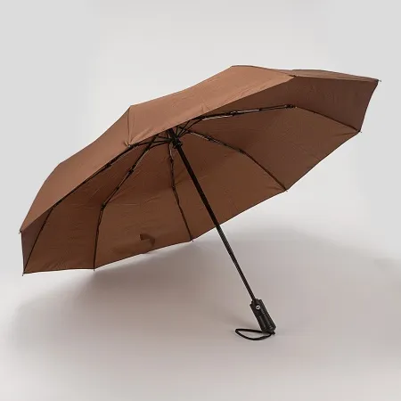 Rain Berry Зонт (черный)