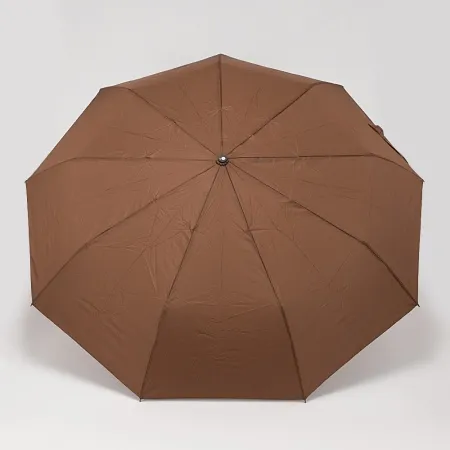 Rain Berry Зонт (черный)