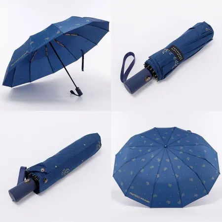 Francesco Molinary Зонт (синий)