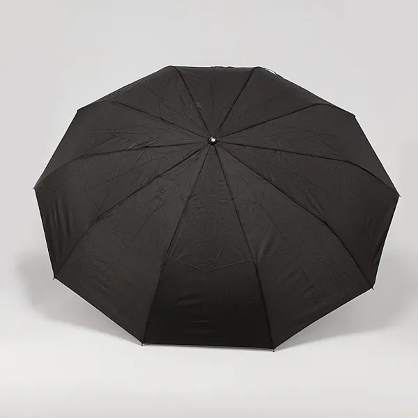 Rain Berry Зонт 734-2397T