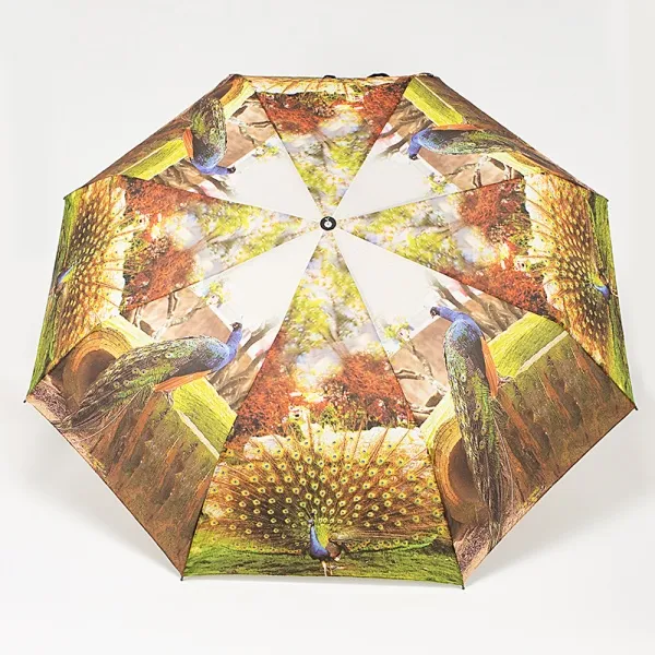 Rain Berry Зонт 739-20808