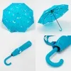 Rain Berry Зонт (голубой)