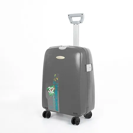 Francesco Molinary Чемодан на 4-х колесах (серый)