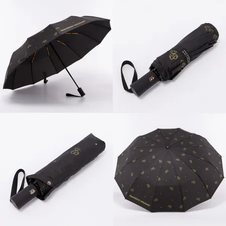 Francesco Molinary Зонт (черный)