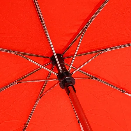 Rain Berry Зонт (мультиколор)