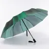 Francesco Molinary Зонт (зеленый)
