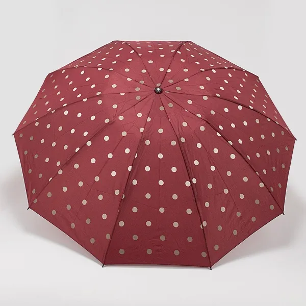 Rain Berry Зонт 734-23331