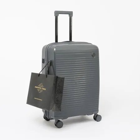 Francesco Molinary Чемодан на 4-х колесах (серый)