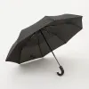 Rain Berry Зонт (черный)