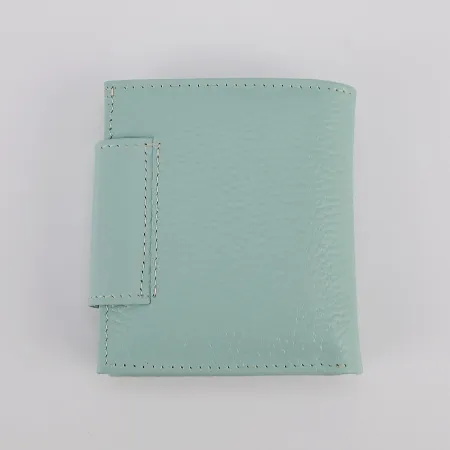 Poshete Кошелек (голубой)