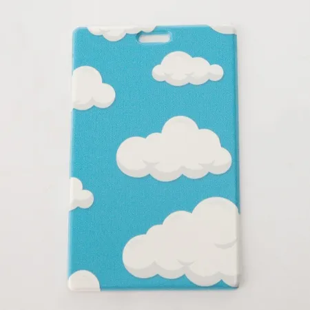 Орландо Чехол для пропуска (голубой)