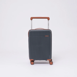 Чемодан Valigetti арт. 3638050-20