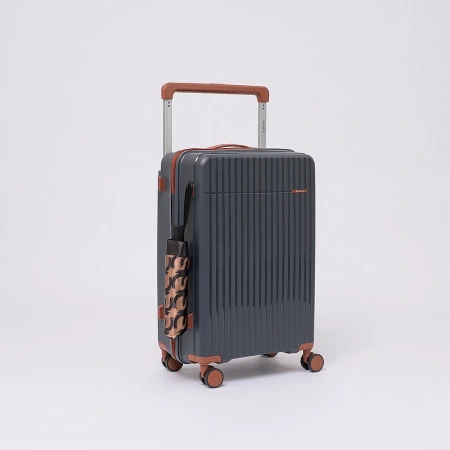 Чемодан Valigetti арт. 3618050-24